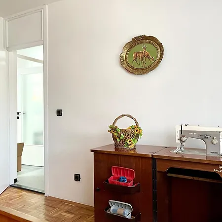 公寓 Spacious 3br Apartment, Cozy & Authentic *