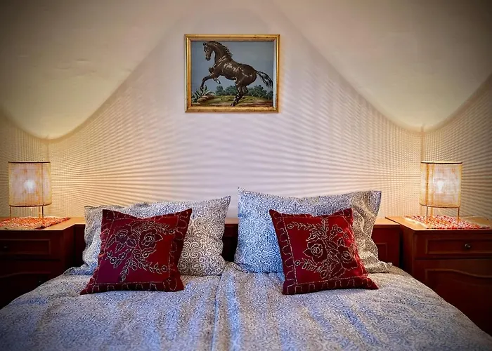 公寓 Spacious 3br Apartment, Cozy & Authentic *