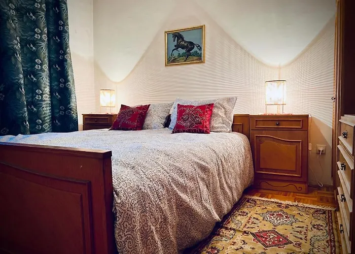 Spacious 3br Apartment, Cozy & Authentic 公寓 塞拉耶佛